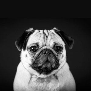 nelly Nelly Schoblocher