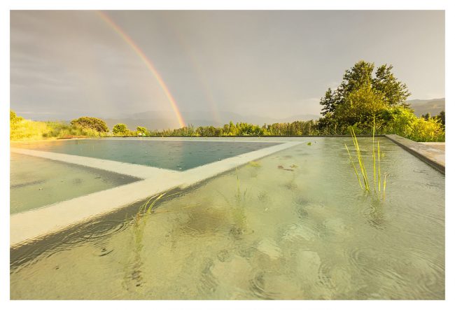Schwimmteichprojekt Attersee